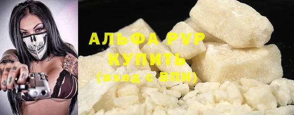 прущие грибы Абинск
