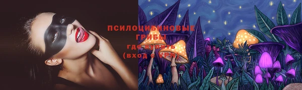 винт Абаза