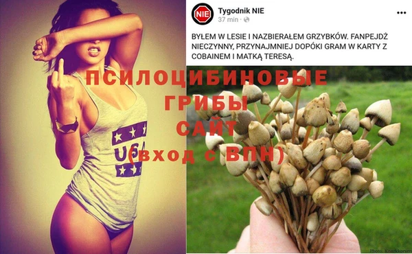 Альфа ПВП Кукмор
