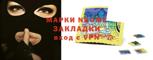 прущие грибы Абинск