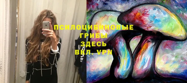 гашик Абдулино