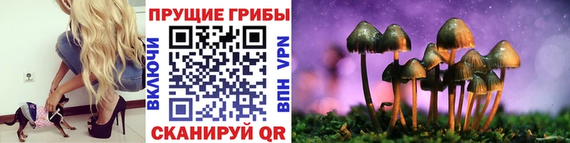 Псилоцибиновые грибы Cubensis Суздаль
