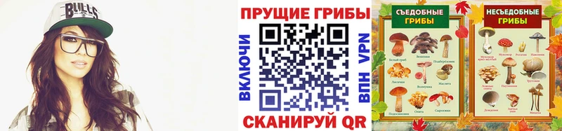 Псилоцибиновые грибы мицелий  Суздаль 